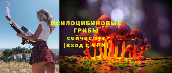 мдпв Мегион