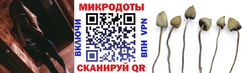 нарко площадка формула  Нижний Ломов  Псилоцибиновые грибы Magic Shrooms 